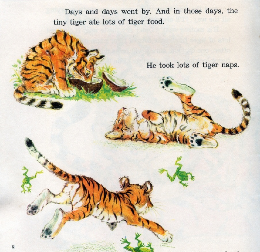 The Pussycat Tiger (10),绘本,绘本故事,绘本阅读,故事书,童书,图画书,课外阅读